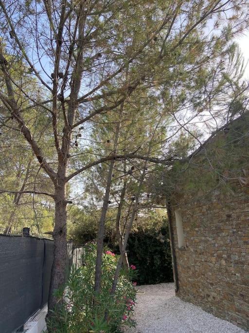 Maison Proche Du Pic Saint Loup Екстер'єр фото